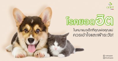 โรคยอดฮิตในหมาแมวเด็ก 